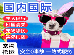 太平航空物流国际宠物托运 【国